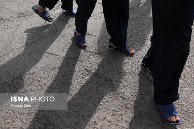 قمه‌کشان پیروزی با گلوله پلیس متوقف شدند