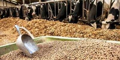 نحوه استفاده از پسماندهای کارخانجات در بهبود تغذیه دام در ایلام