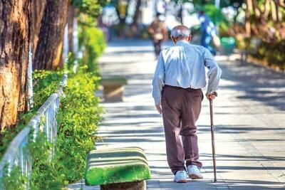  راه‌اندازی کارگروه تخصصی رسانه و فضای مجازی شهر دوستدار سالمند در همدان
