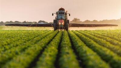 شرایط کشت فراسرزمینی ابلاغ شد؛ متقاضیان اقدام کنند