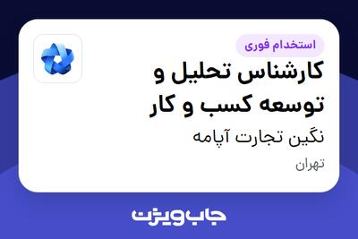  استخدام کارشناس تحلیل و توسعه کسب و کار در نگین تجارت آپامه