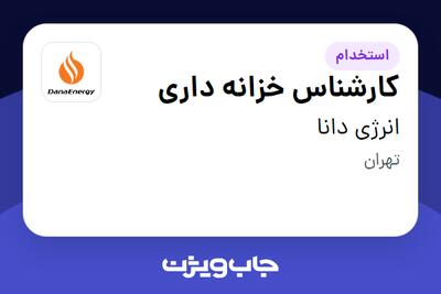  استخدام کارشناس خزانه داری در انرژی دانا