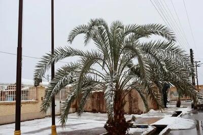 کدام استان ها برفی هستند؟