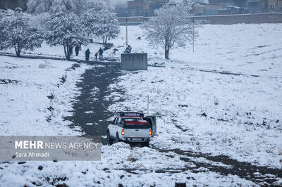 برف در این شهر قربانی گرفت/ جزئیات