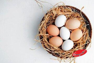  فواید معجزه‌آسای این ماده غذایی برای پوست و مو - کلبه سرگرمی