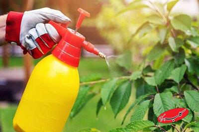  آفت‌کش‌ها میکروب‌های مفید روده‌ را به خطر می‌اندازند - کلبه سرگرمی