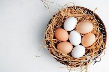 فواید معجزه‌آسای این ماده غذایی برای پوست و مو - مجله اینترنتی کولاک