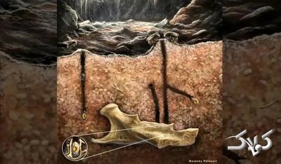 زنبورهایی که در دندان جانوران مرده لانه می‌ساختند | عکس - مجله اینترنتی کولاک