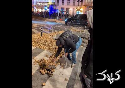 سنگفرش این خیابان از سیب زمینی است! + ویدئو | جزئیات ماجرا - مجله اینترنتی کولاک