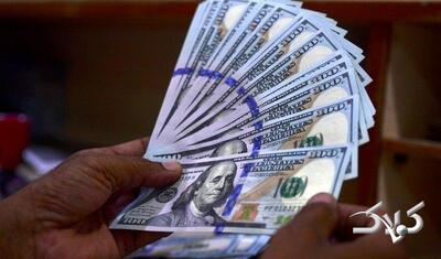 ترمز ارز دست کیست؟ آقای رئیس‌جمهور، شخصاً ورود کنید - مجله اینترنتی کولاک