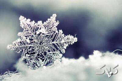 این کویر سفید شد | ویدئو - مجله اینترنتی کولاک