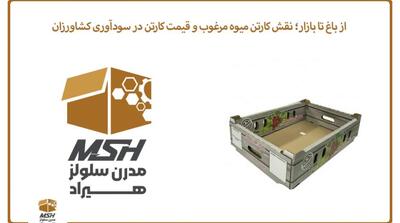 از باغ تا بازار؛ نقش کارتن میوه مرغوب و قیمت کارتن در سودآوری کشاورزان - مردم سالاری آنلاین