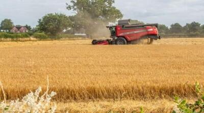 برای واردات کالاهای اساسی مشکل ارز داریم - مردم سالاری آنلاین