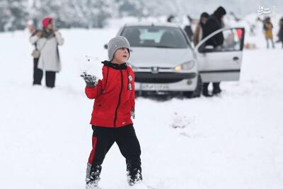 عکس/ برف شادی در مشهد