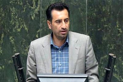 صالحی: مجلس پیگیر افزایش بودجه فرهنگی کشور است