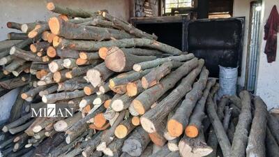 برخورد قاطع دادستانی آمل با قاچاقچیان چوب‌ درختان جنگلی 