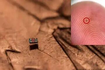  کوچک‌ترین ربات‌های شناگر جهان؛ از شن هم ریزتر + عکس