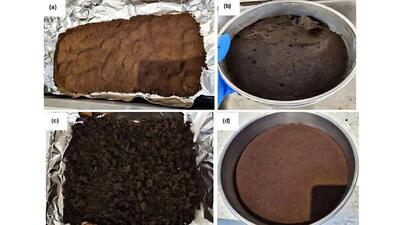 تفاله قهوه؛ زباله‌ای نجات دهنده / کشف جدید دانشمندان