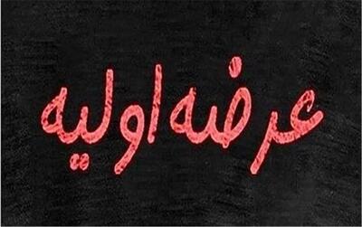 عرضه اولیه پتروشیمی اروند از دوشنبه ۱ دی ۱۴۰۴