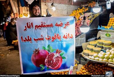  قیمت میوه در تره‌بار‌های مشهد در آستانه شب یلدا چقدر است؟ (۲۹ آذر ۱۴۰۴)