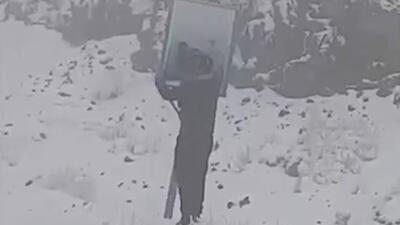  زیر برف، هنوز یک نام زنده بود