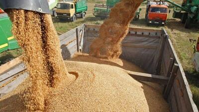  توزیع بیش از ۱۵۰۰ تن نهاده دامی در کهگیلویه