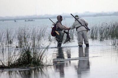  شکارچیان فلامینگو و مرغابی در خلیج گرگان به دام افتادند