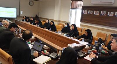 نشست تخصصی با محوریت بررسی و بازنگری آیین‌نامه‌های پژوهشی در دانشگاه علم و هنر یزد