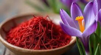  پنجره امید؛ نتایج اثربخش مکمل‌یاری ایمن و نوآورانه زعفران بر بیماران سپسیس