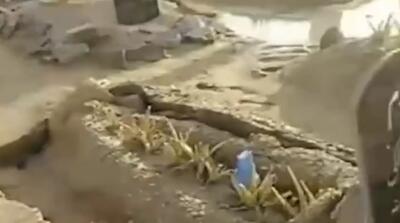 تصاویر وضعیت ترسناک قبرستان قشم پس از سیل