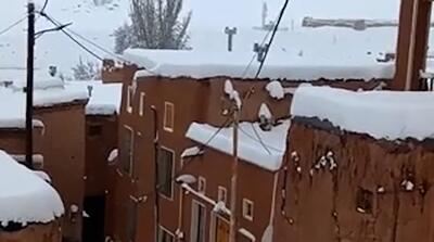 تصاویر بارش نیم متری برف در ابیانه و ذوق
