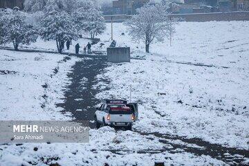  برف در این شهر تلفات انسانی داشت