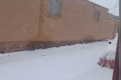  قلب کویر ایران هم سفیدپوش شد