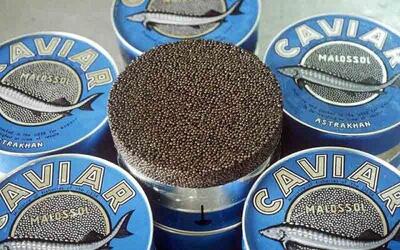 بیش از ۹۰ درصد خاویار تولیدی کشور صادر می‌شود
