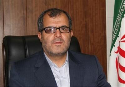 درون‌زایی ساختار اقتصاد ایران مانع ابرتورم می‌شود - تسنیم