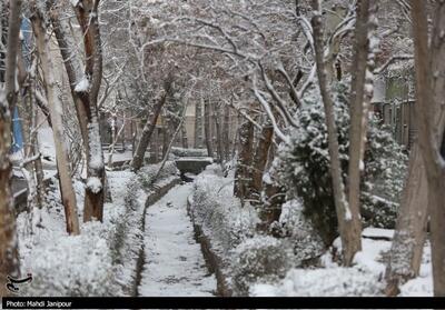 تداوم یخبندان و‌ سرما تا دوشنبه/دمای هوای اصفهان 12 درجه کاهش می‌یابد - تسنیم