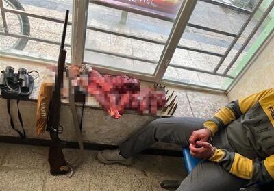 دستگیری 4 متخلف شکار غیرمجاز حیات وحش در چهارمحال و بختیاری - تسنیم