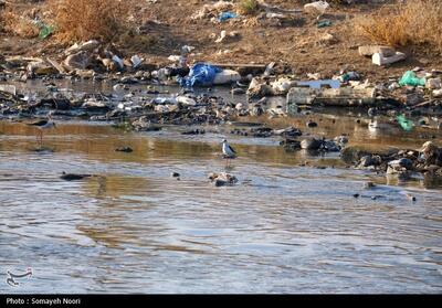 فاجعه زیست‌محیطی در غرب ایران/قره‌سو در محاصره   فاضلاب و پسماند  / اکولوژیک منطقه نابو‌د شد‌ - تسنیم