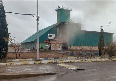 تأمین پایدار آرد و نان در استان خراسان جنوبی - تسنیم