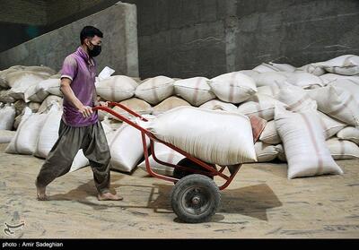 احتکار و قاچاق بیش از 41 هزار تن برنج وارداتی و نهاده‌های دامی در تهران - تسنیم