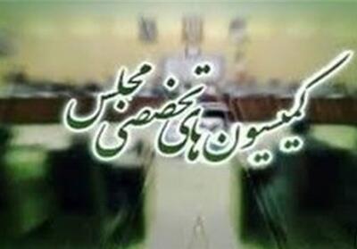 قیمت‌گذاری دستوری خودرو و حمایت از زنان در دستورکار مجلس - تسنیم