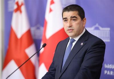 انتقاد شدید رئیس پارلمان گرجستان از دیکتاتوری لیبرال در اتحادیه اروپا - تسنیم