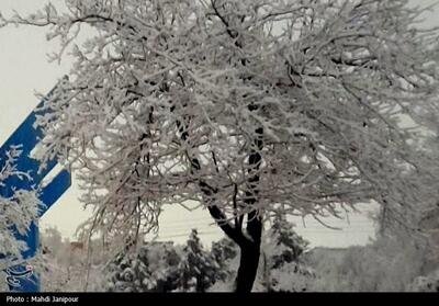 تداوم بارش‌های پراکنده برف و باران در یزد تا عصر امروز - تسنیم