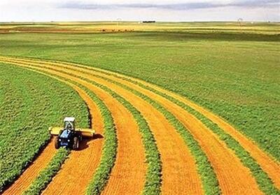 ضوابط کشت فراسرزمینی اعلام شد - تسنیم