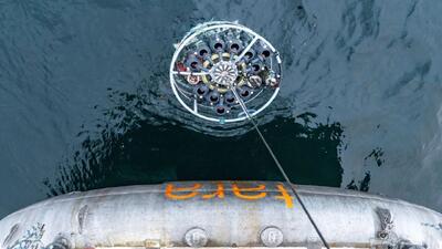  ویروس‌های اقیانوسی سرعت ذخیره کربن را افزایش می‌دهند