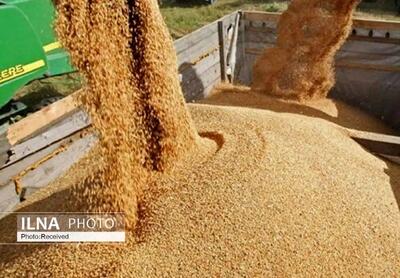 وزارت نفت نتوانست ارز واردات کالاهای اساسی را بپردازد