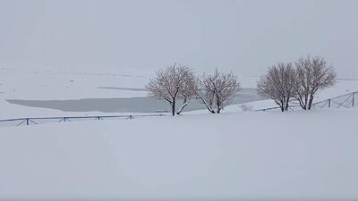  نمای زمستانی روستای آغچه با بارش برف + فیلم