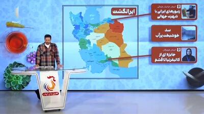  محقق ایرانی موفق به دریافت مدال طلای نخبگان دنیا در آمریکا شد + فیلم