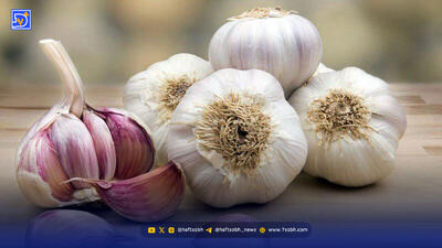  خوردن سیر خام ناشتا باعث لاغری می‌شود؟