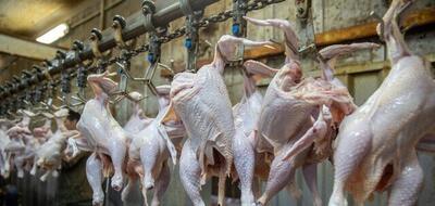 ایرانی‌ها چقدر مرغ خوردند؟